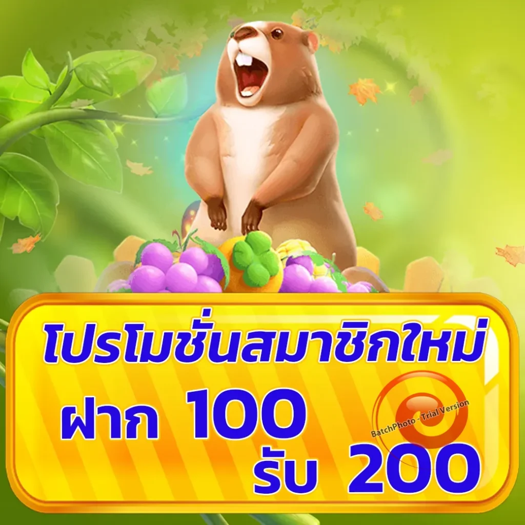 gold-richy จ่ายจริง